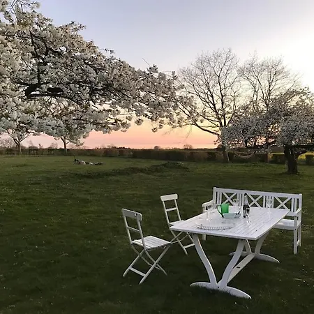 Eventyrligt Og Rummeligt Hus Med Havudsigt * Borre
