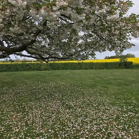 Eventyrligt Og Rummeligt Hus Med Havudsigt Villa